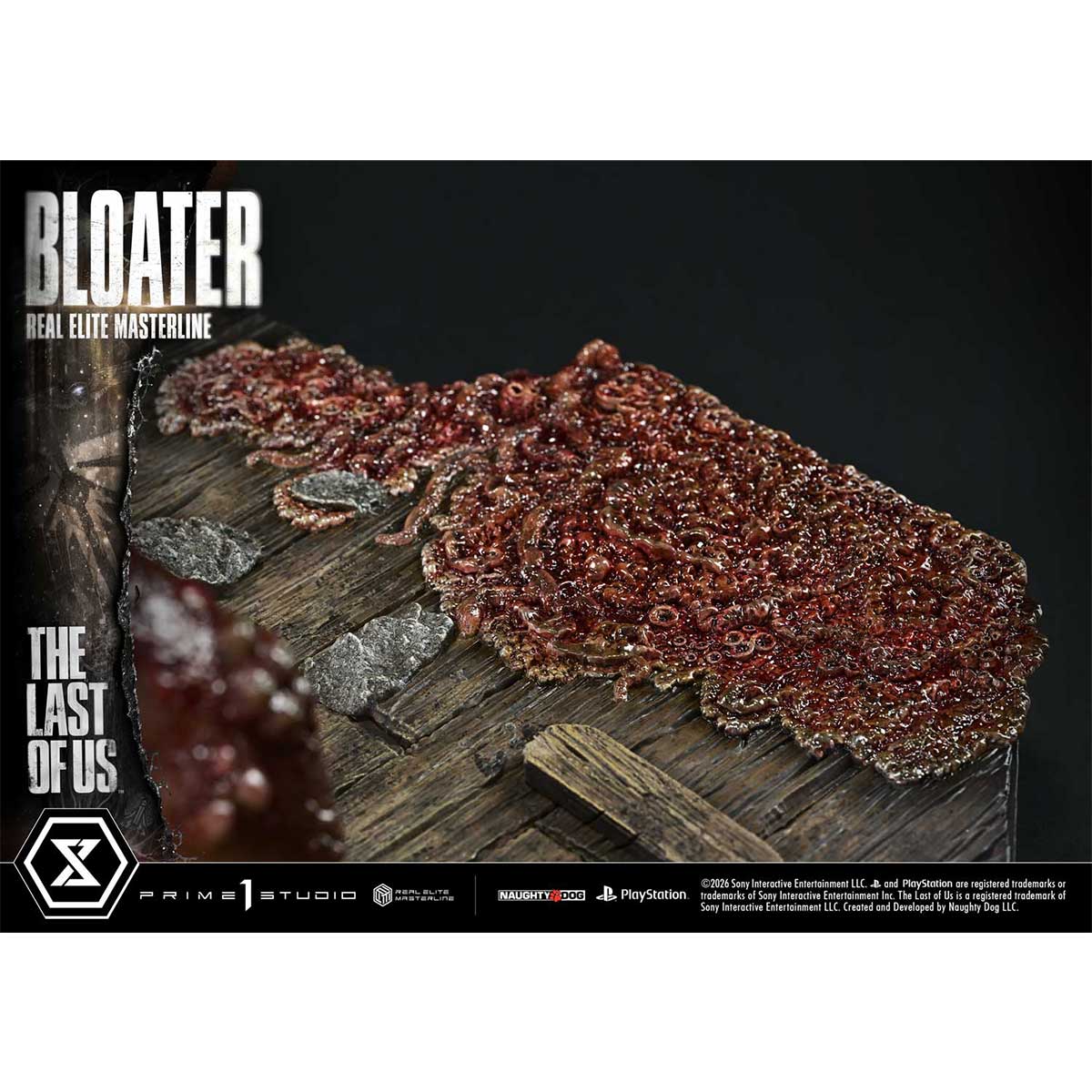 Product image 65